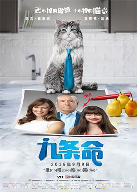 杜比视界