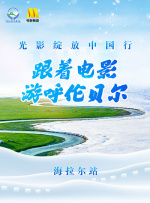 DVD高清完整版