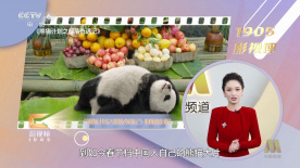 DVD高清完整版
